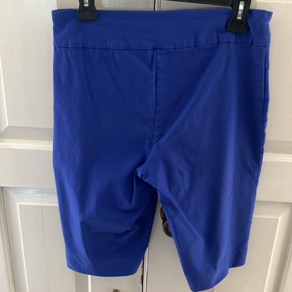 Medium Peck & Peck royal blue shorts - Picture 3 of 3